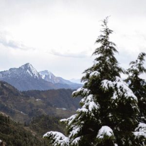 devang-saklani-3EXrrjHaaFo-unsplash