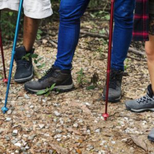 Trekking in a forest